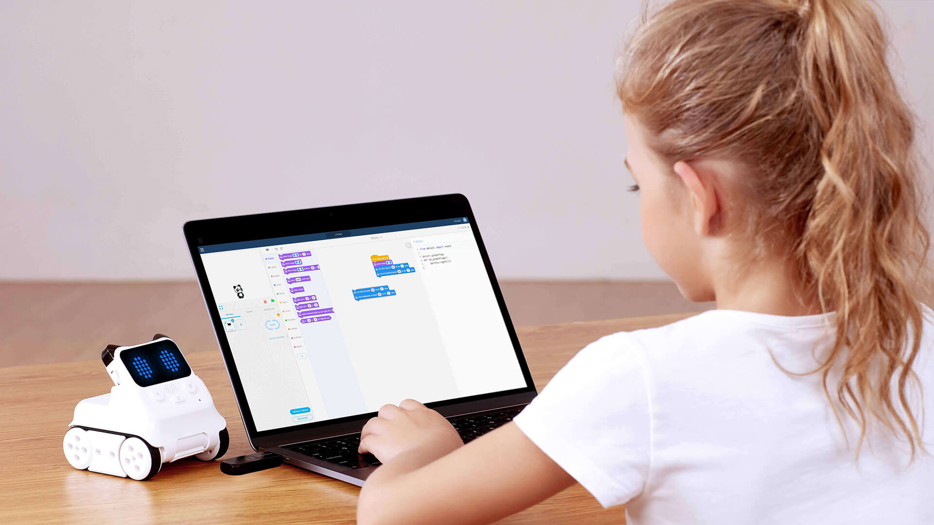 Programa curricular con Codey Rocky